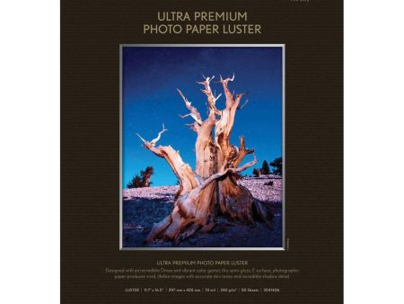 Epson Ultra Premium Photo Paper Luster | A3 11.7 x 16.5 , 50 Sheets Online Hot Sale