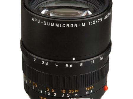 Leica APO-Summicron-M 75mm f 2 ASPH. Lens | Black Cheap