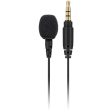 Rode Lavalier GO Omnidirectional Lavalier Microphone for Wireless GO Systems Fashion